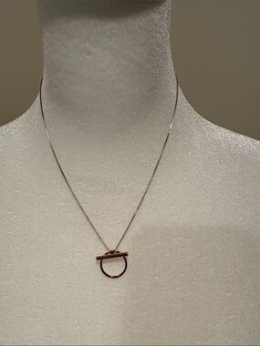 Jenny Bird Gold Circle Toggle Pendant Necklace